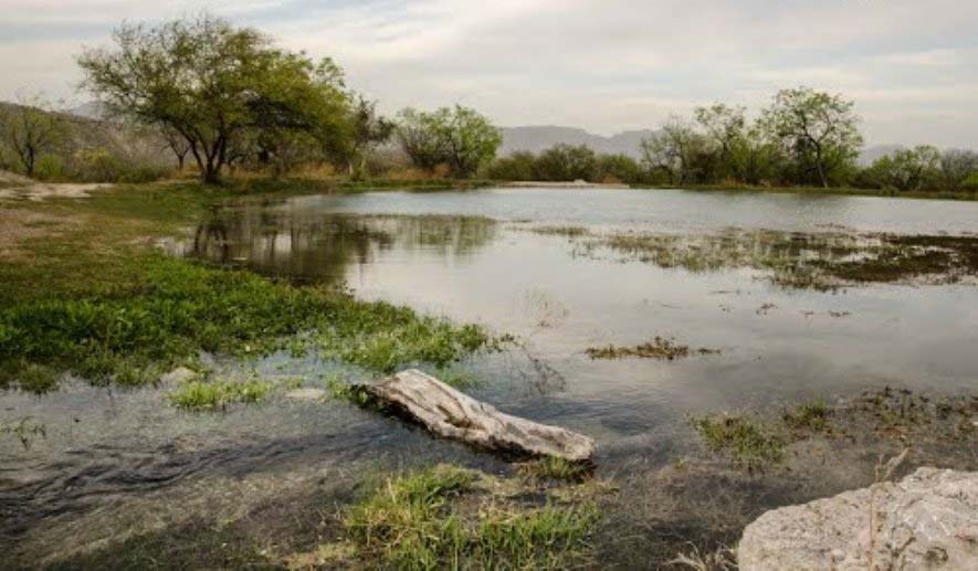 Aplica Coahuila programa de desazolves de estanques ante posible sequía