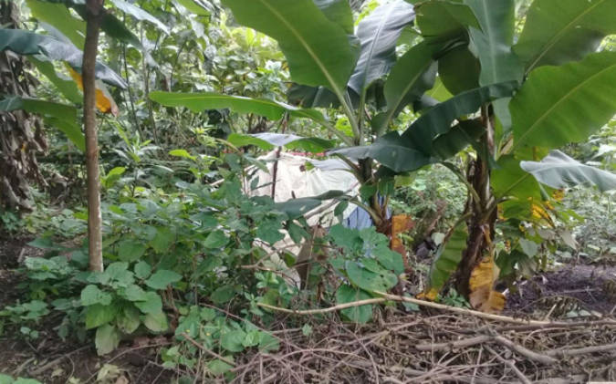 Asesina a su esposa por haberle sido infiel con su hermano