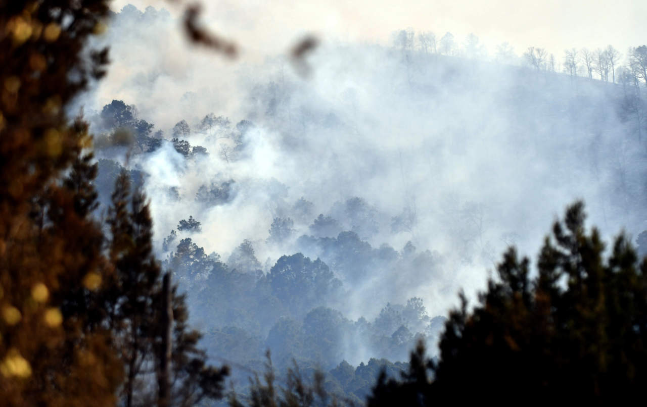 Luchan por controlar fuego en la Sierra de Arteaga