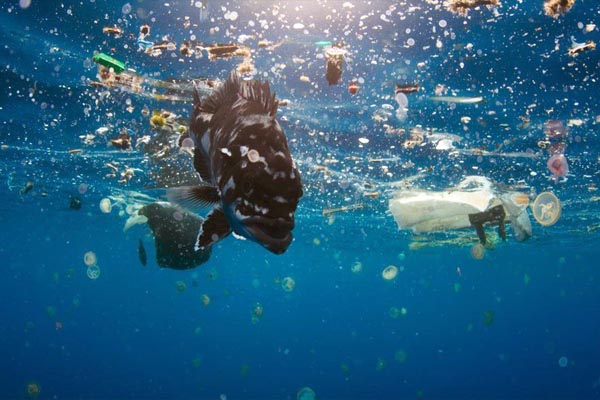Más plástico que peces, el gran peligro que corren los océanos