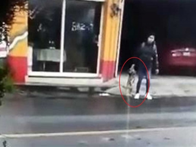 VIDEO: Matan a patadas a perros y los arrojan a canal en Texcoco