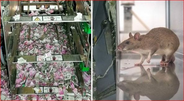 Rata se come 18 mil dólares de cajero automático