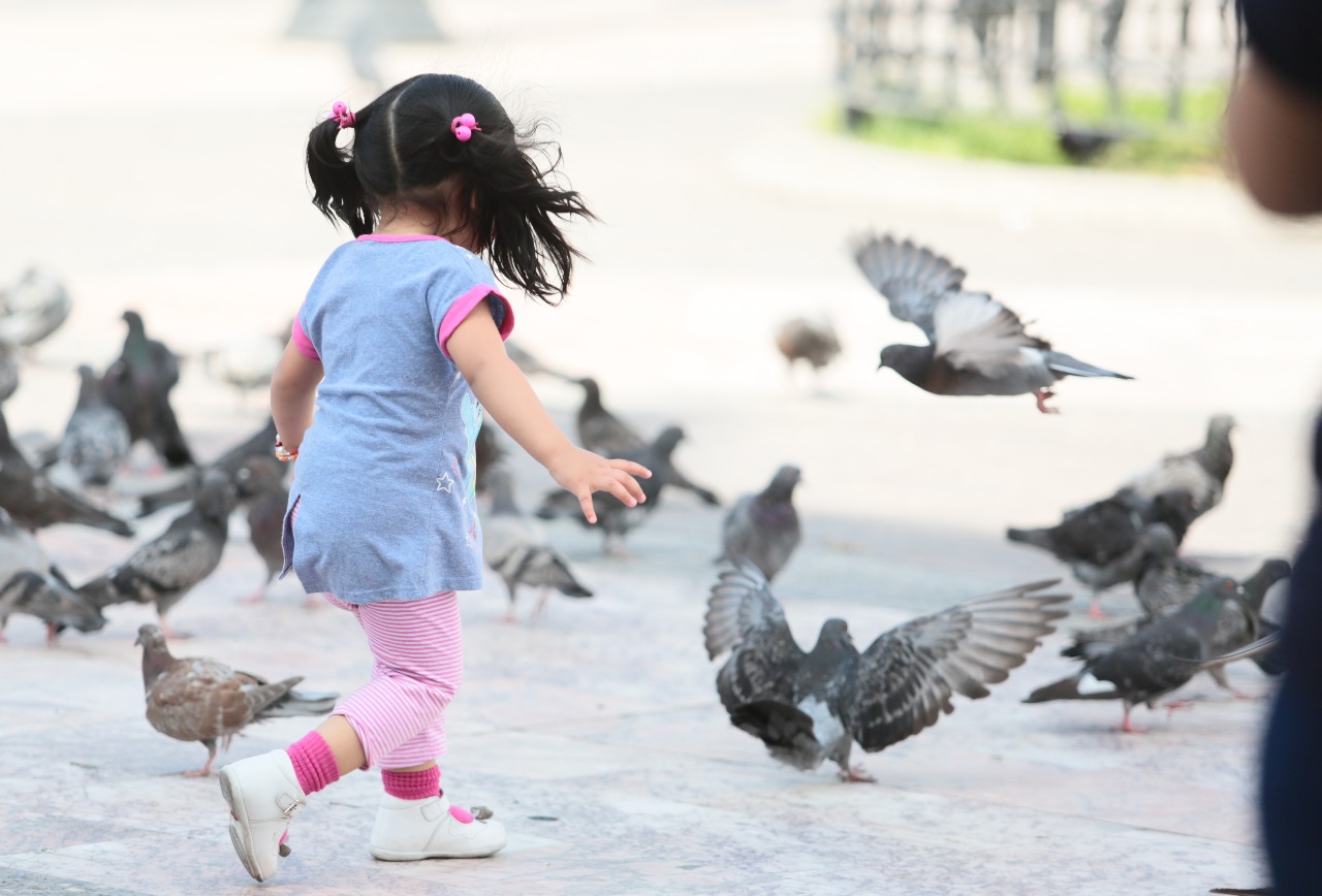 En el marco del Día Mundial contra el trabajo infantil, DIF Coahuila promueve  derechos y libertades del niño