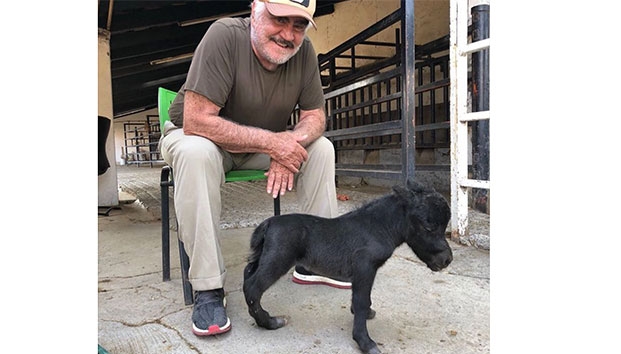 La foto de Vicente Fernández que causó polémica en redes