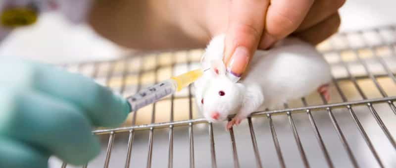 Vacuna contra VIH será probada en humanos en 2019