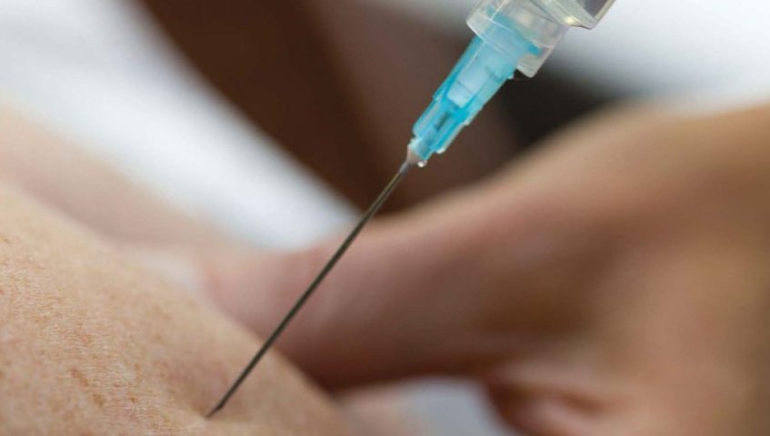 Nuevo virus hallado en cerdos, potencial amenaza para humanos