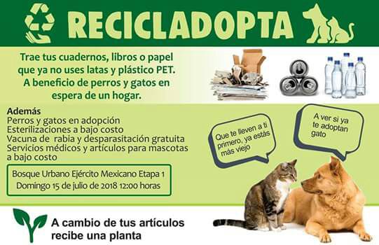 “RECICLADOPTA”, para los amantes de los animales