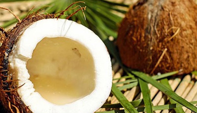 Desarrollan fuentes de gas a base de desecho de coco