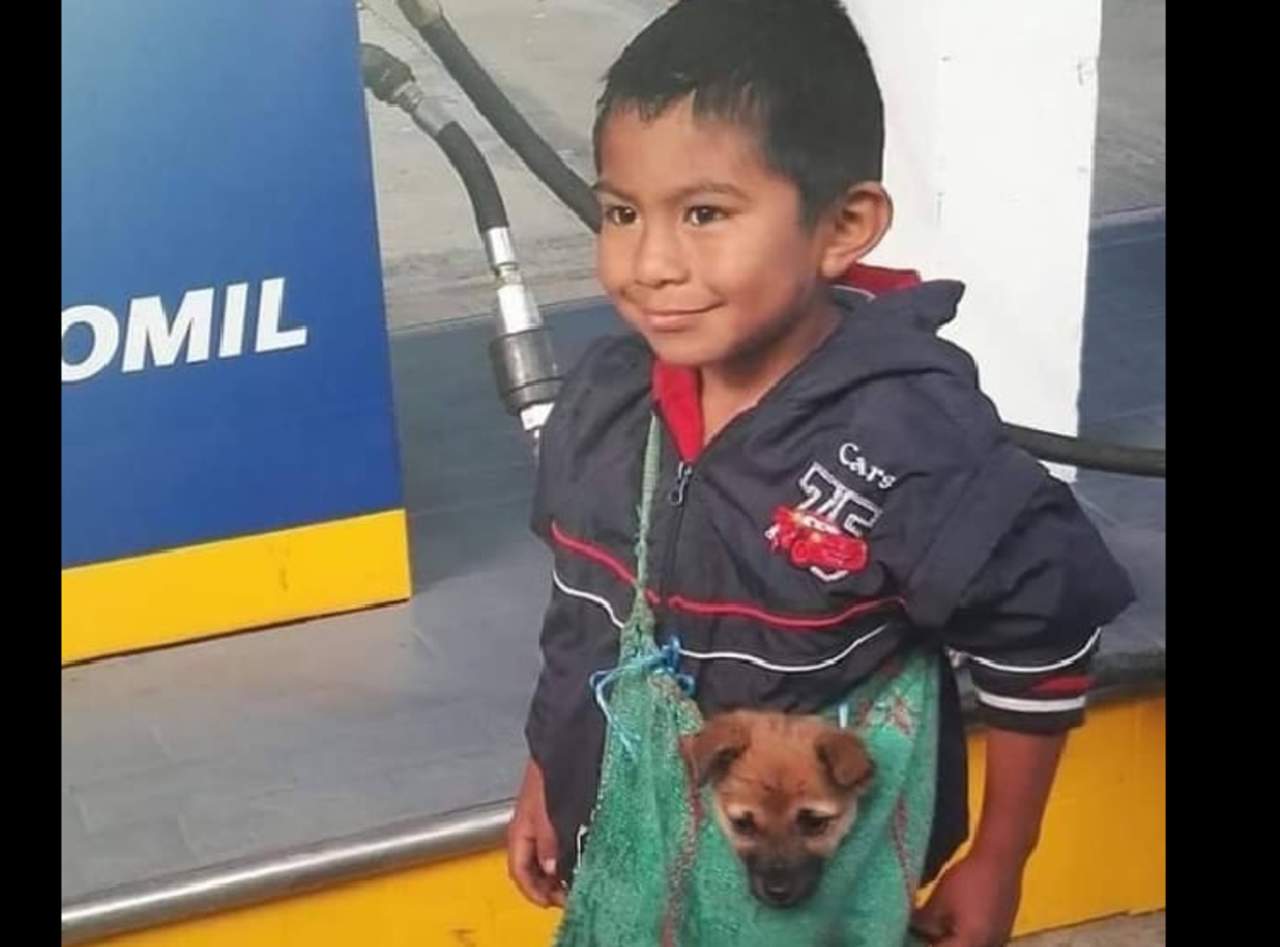 Conmovedora imagen de niño y su perro se hace viral