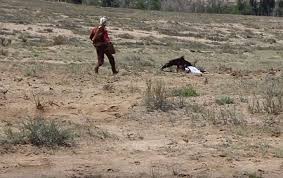 VIDEO: Águila real ataca a una niña en un festival