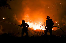 Incendio forestal en California contenido en 13%