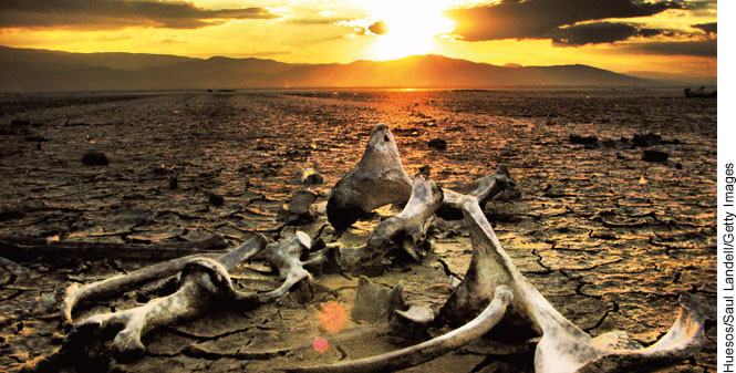 México debe intensificar acciones para enfrentar cambio climático