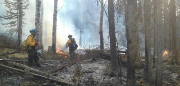 Combatientes mexicanos viajan a Canadá para enfrentar incendios