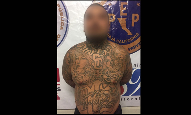 Aprehenden a ‘El Droopy’, líder de la Mara Salvatrucha en LA