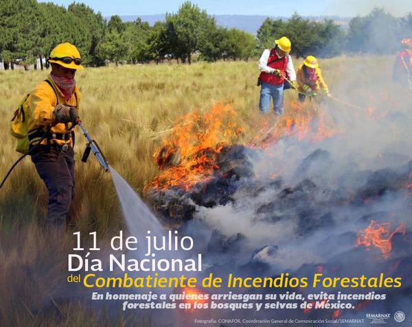 Reconocen labor de combatientes de incendios forestales en su día