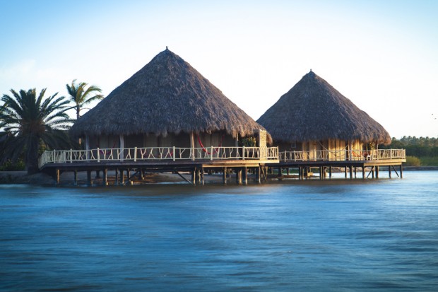 Yerno del ‘Mencho’ remató acciones de hotel de lujo