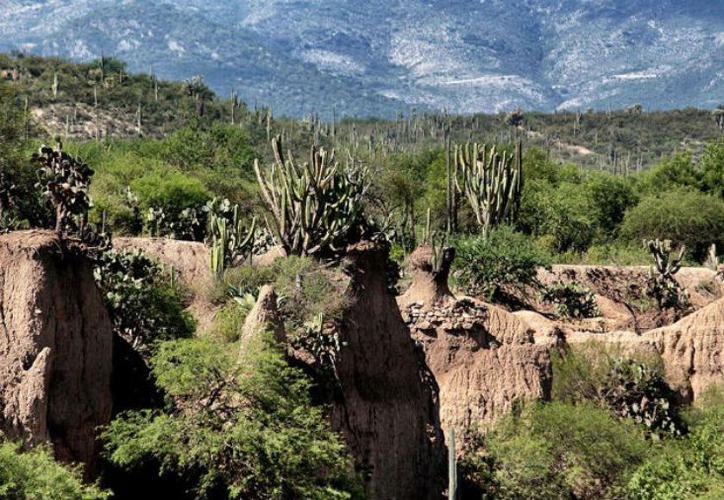 Valle de Tehuacán-Cuicatlán, patrimonio de la humanidad