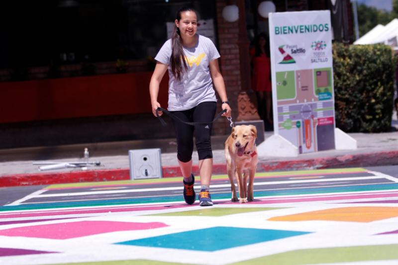 Exhorta Municipio de Saltillo a respetar y usar los pasos peatonales