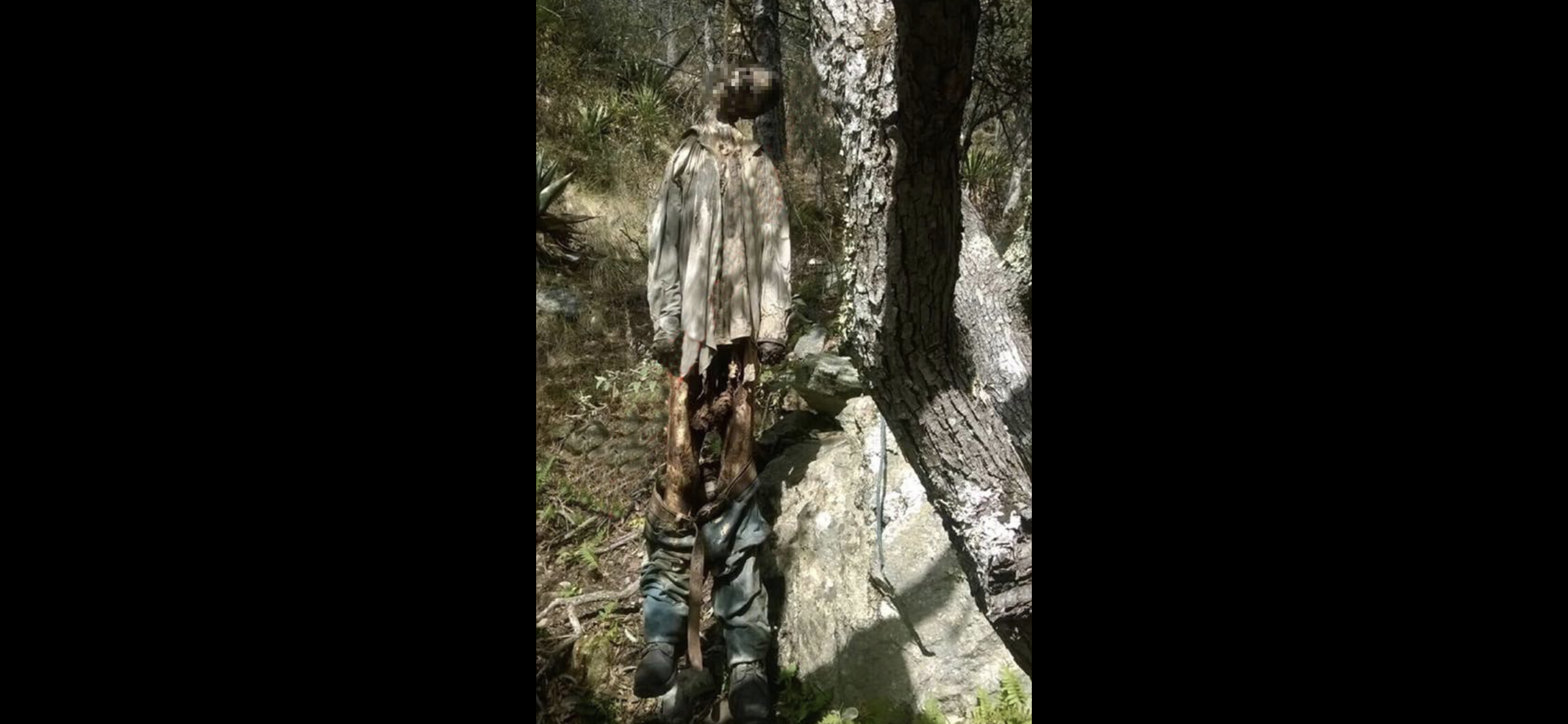 Hallan cuerpo momificado en la sierra <br>de Arteaga; se suicidó hace un año