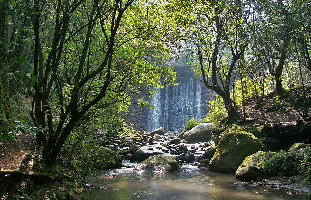 Destaca Semarnat medidas para proteger áreas naturales