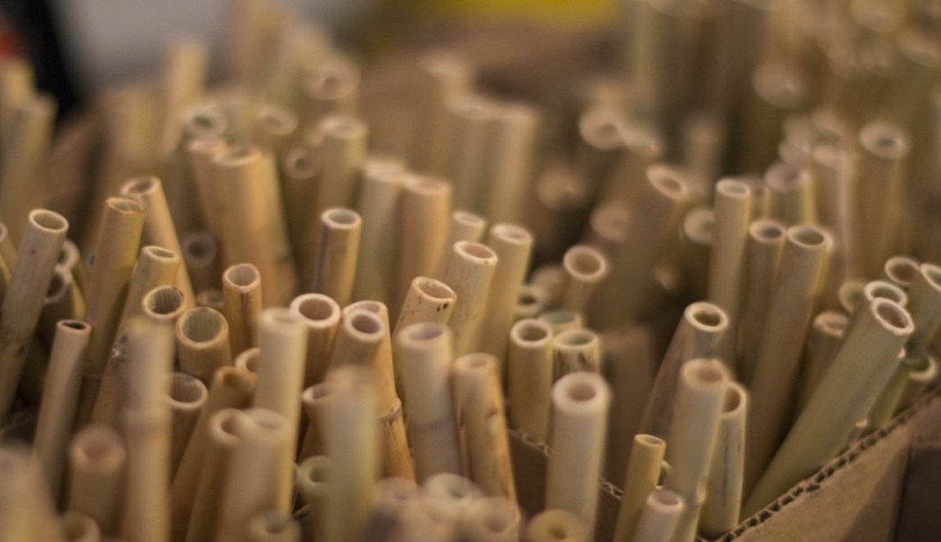 Fabrican en Oaxaca popotes de carrizo para ayudar al medio ambiente