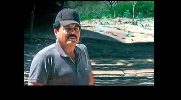 Desarticulan red de ‘El Mayo’ Zambada en 5 países