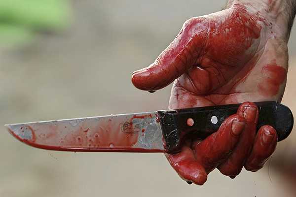 Colonos matan a joven acusado <br>de envenenar perros en Torreón