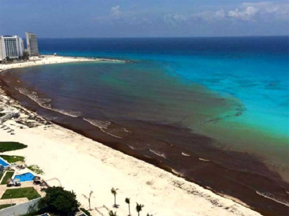 Sargazo en Cancún podría extenderse hasta octubre, informa Semarnat