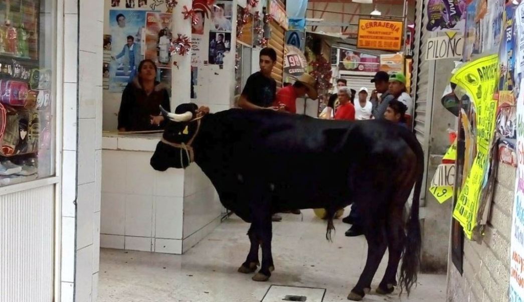 Toro se escapa de “Pamplonada” y lesiona a dos en Tláhuac