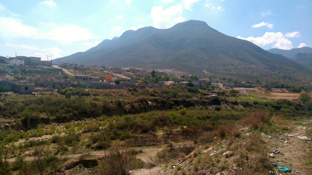 Realizan primera etapa de reforestación en Sierra de Zapalinamé; plantan 2 mil 44 pinos