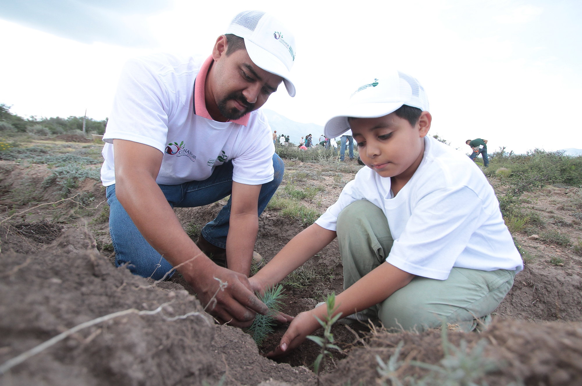 Destinan 1.2 mdp para proyectos de conservación ambiental