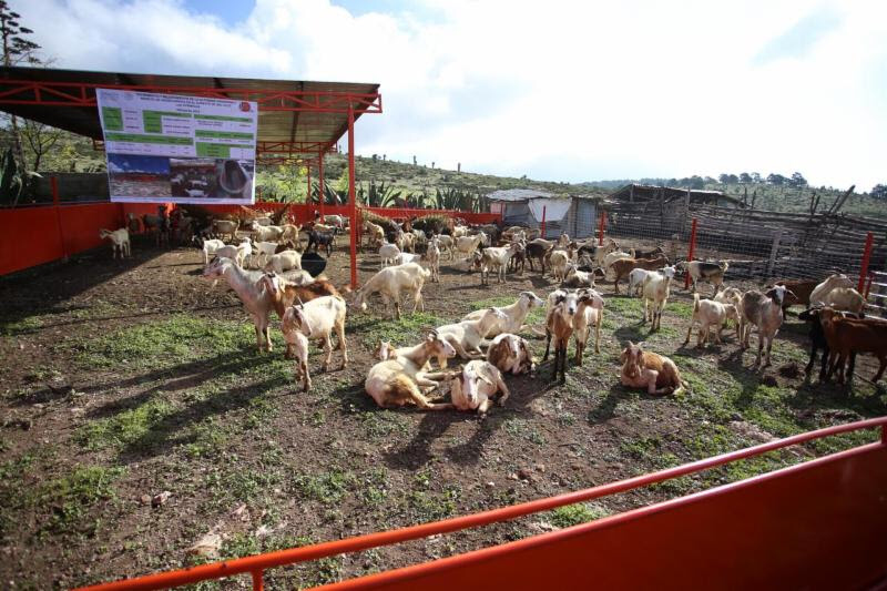 Apoya municipio de Saltillo a productores del campo  en la compra de equipamiento