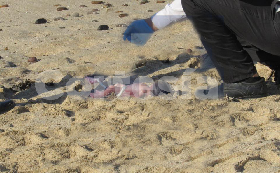 Hallan a bebé sin vida en playa de Mazatlán