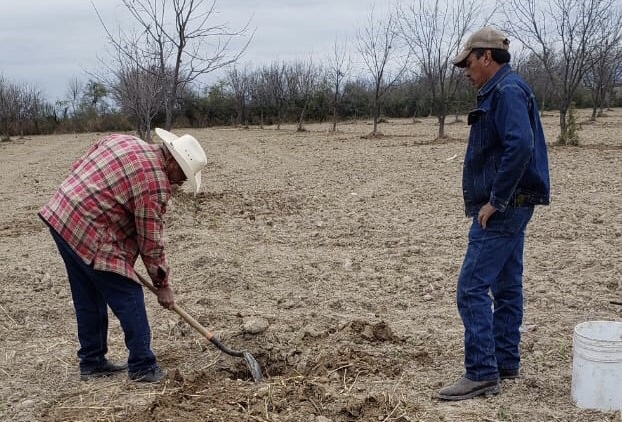 Capacitan a productores rurales sobre cultivo de nogal