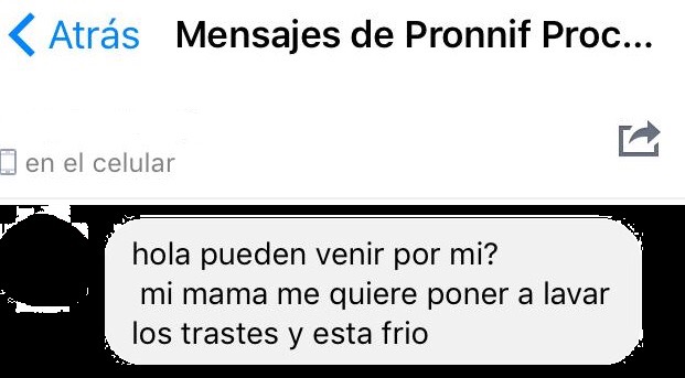 Pide Pronnif frenar denuncias <br>falsas y bromas