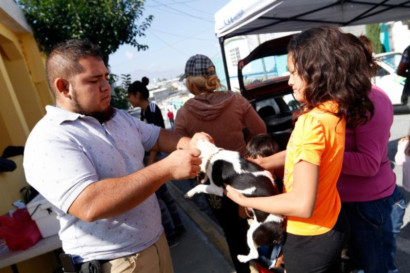 Atiende gobierno de Saltillo a mascotas con vacunación antirrábica