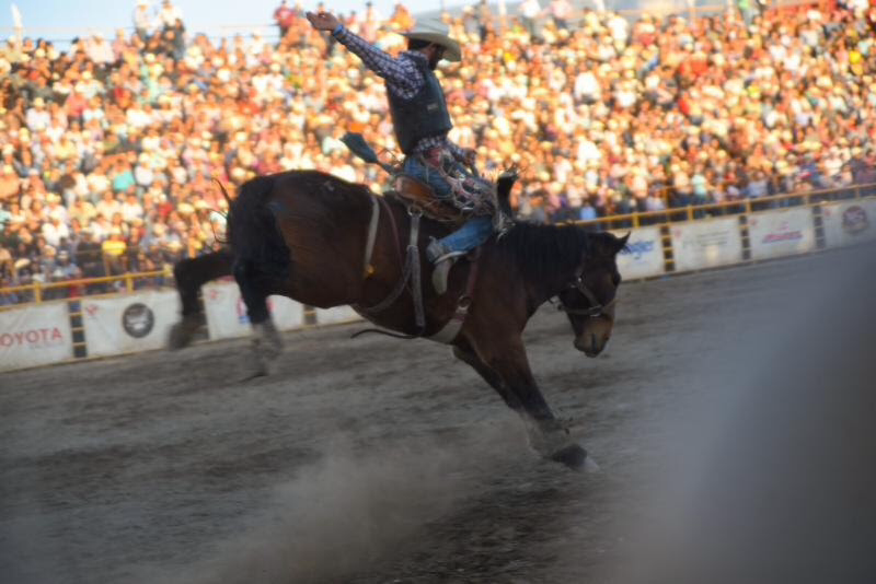 Arranca hoy rodeo Saltillo