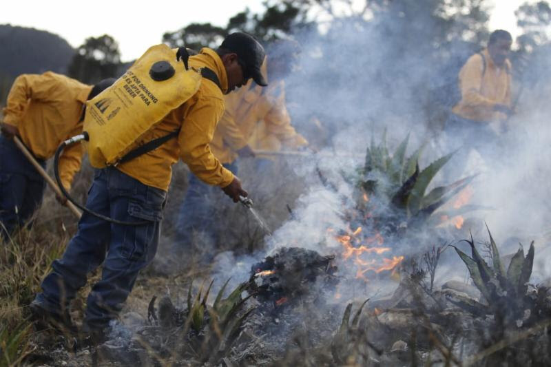 Efectiva reacción controla incendio al 80% en ejido de Saltillo