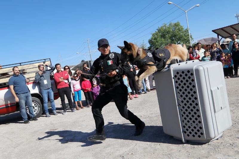 Saltillo destaca a nivel nacional <br>en varios rubros, según el Inegi