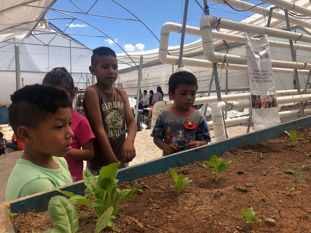 Promueven actividades ecológicas para la niñez