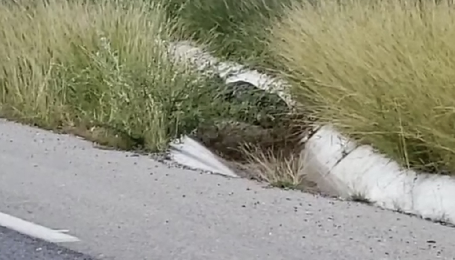 Hallan cadáver embolsado <br>en la Piedras Negras-Acuña