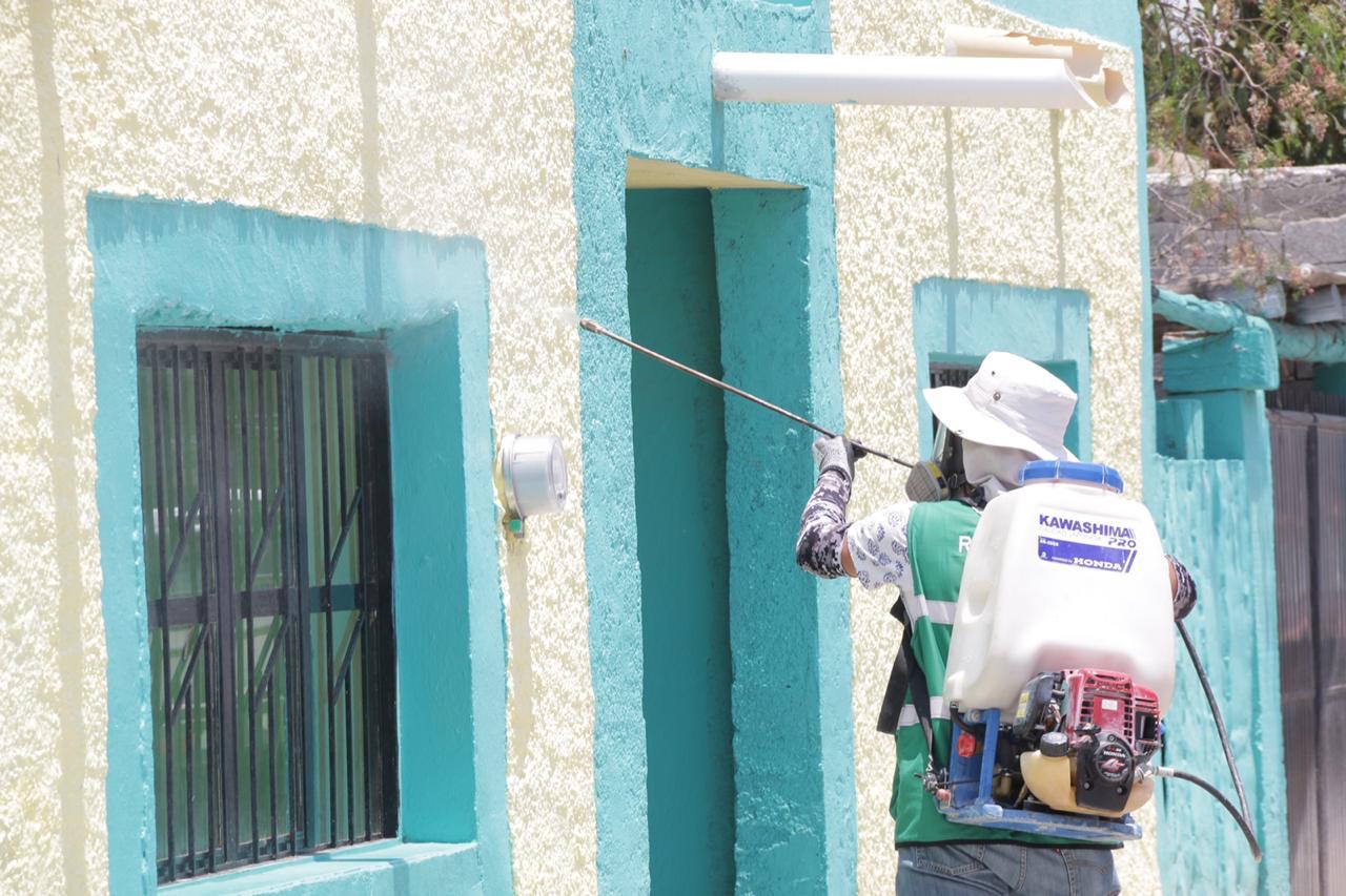 Arranca operativo para prevenir la Rickettsiosis