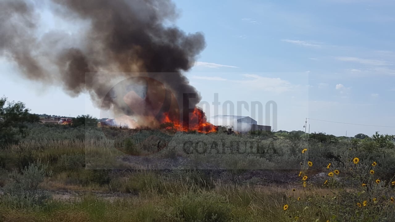 Arde empresa de tarimas en Piedras Negras