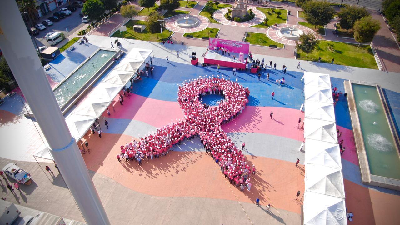 Forma DIF Coahuila gran lazo rosa humano