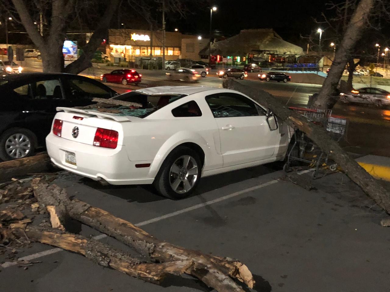 Atiende Municipio de Saltillo <br>reportes por fuertes vientos