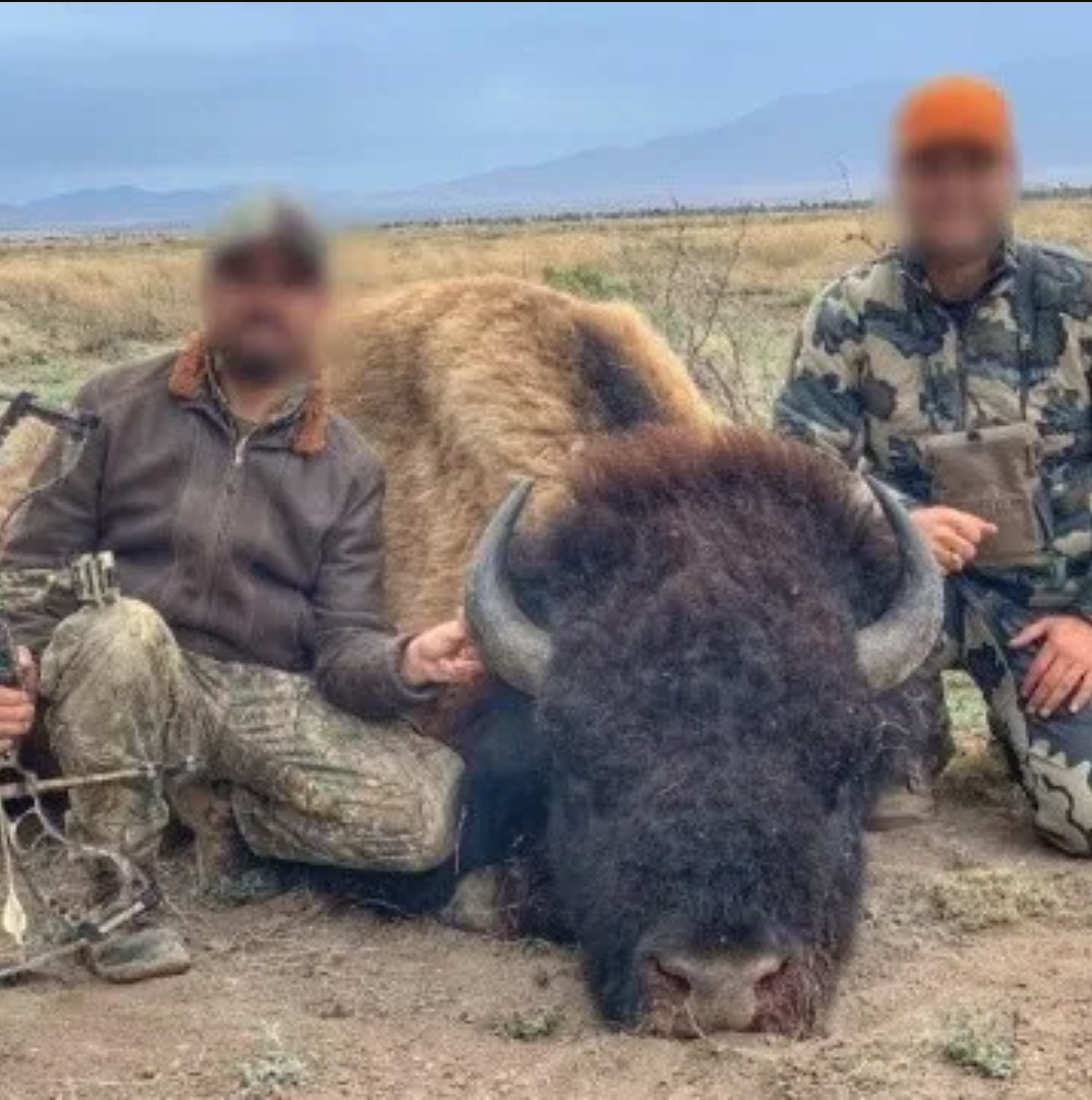 Interpone Coahuila ante Profepa denuncia por caza ilegal de bisonte