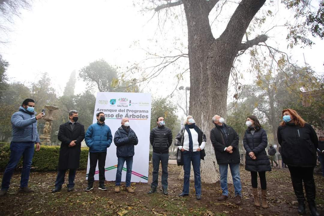 Sigue avanzando Agenda Ambiental <br>en Saltillo; inicia censo de árboles