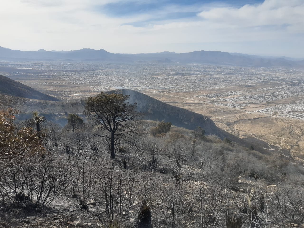 Continúan trabajos en los dos incendios activos en el sureste de Coahuila