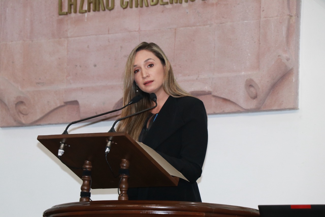 Pide diputada a federación recursos <br>para el combate a incendios forestales