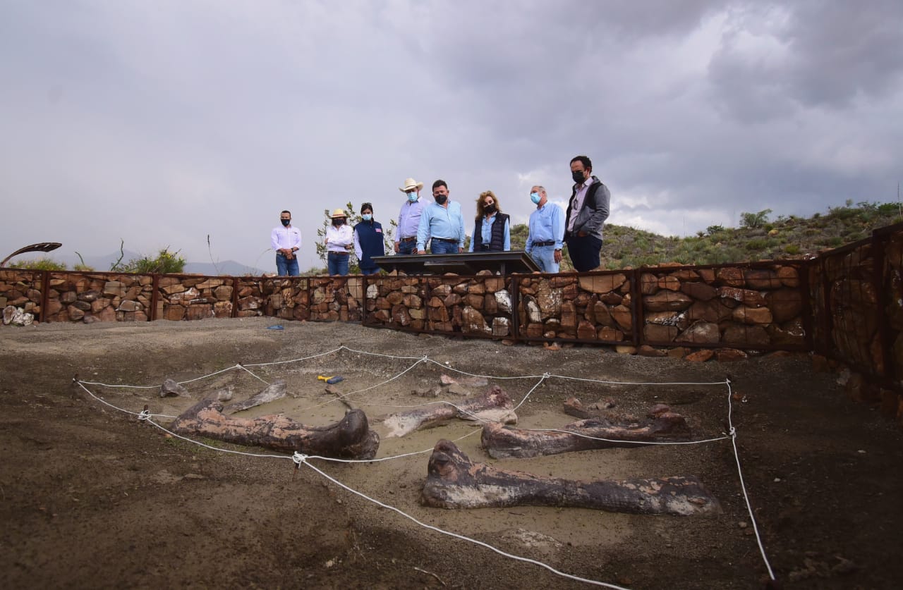 Con Rincón Colorado, Coahuila es fuerte en turismo paleontológico